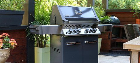 Coast Appliances Napoleon Grills Appliances